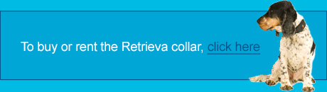 Buy Online banner