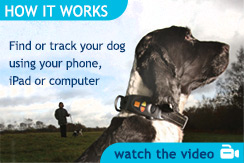 How it works